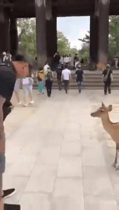 Respect is always mutual