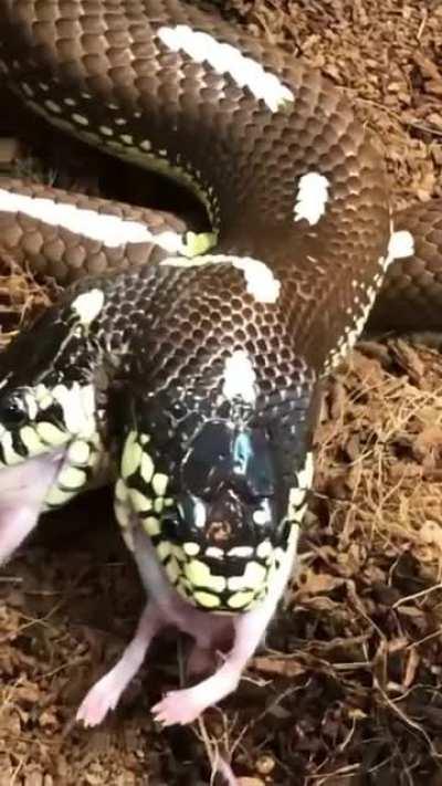 Let me taste it first