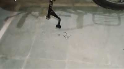 It was my dream so i share it with you people.