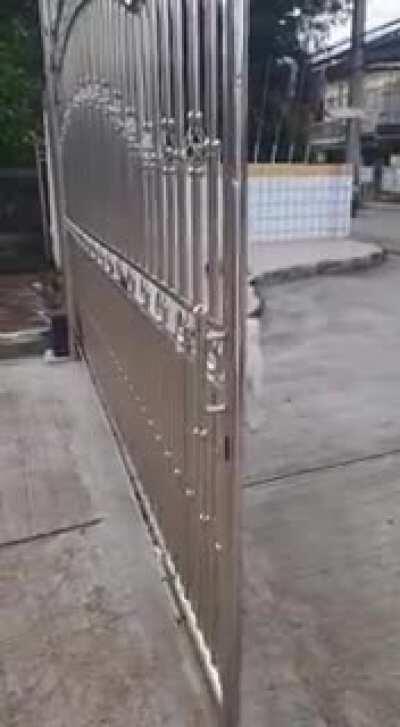 Our fearless defender put to the test during the morning routine