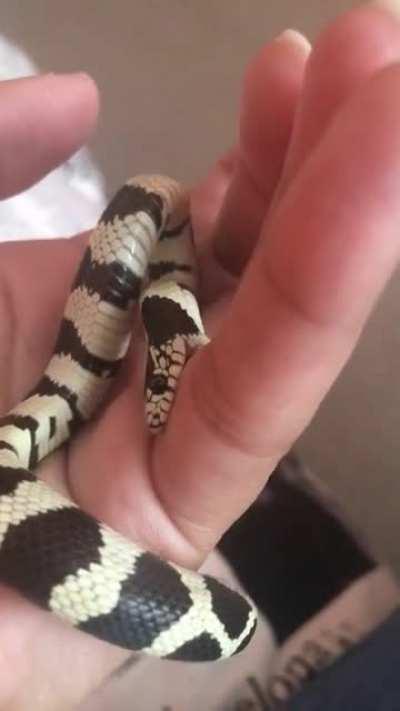 He’s a little confused