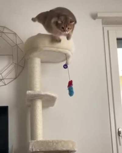 when you're bad at calculations