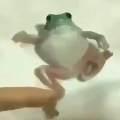 Ele não vai lavar o pé