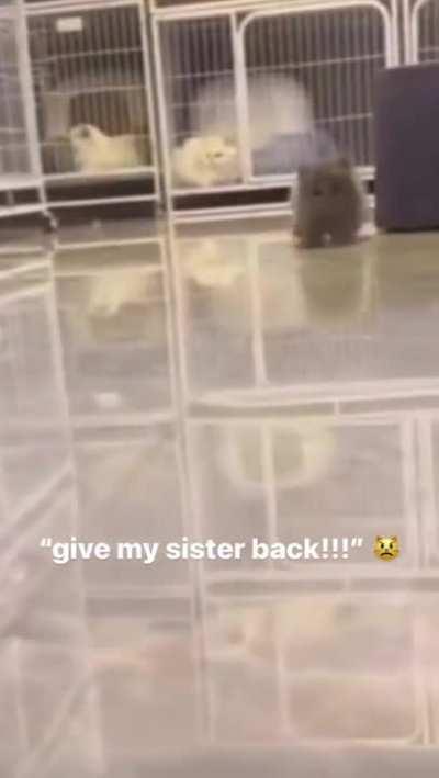 Imma take this one too