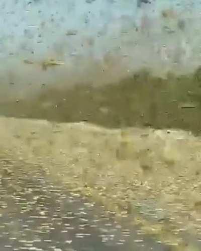 Imagine going for a trip and seeing this