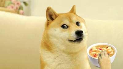 Le soup on the floor