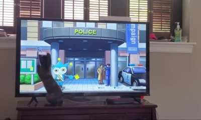 My cat is helping me search for clues at the police station