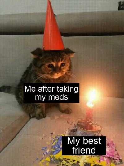 sleep well, old friend