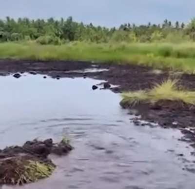 Man steps into “puddle”