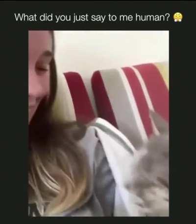 She sounds offended lol!