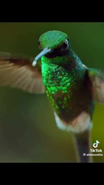 simplesmente perfeito 