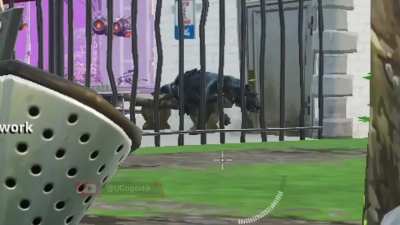 wUT the wolf doin ?