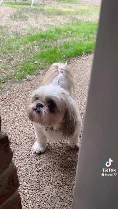 He was at the studio…