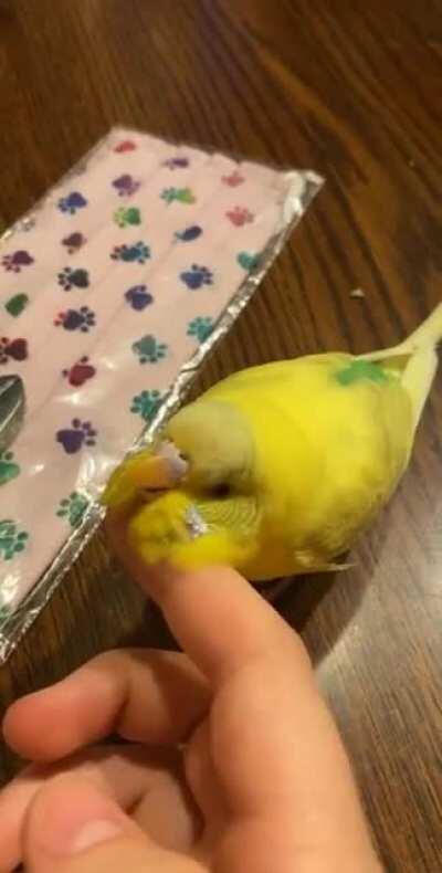 sprite had something to say.... someone was showing me a video and the sound aligned perfectly lmao