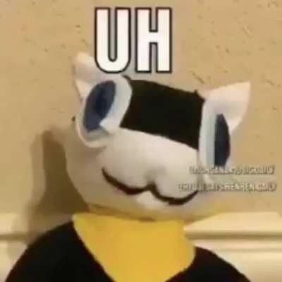 🦀🦀🦀🦀 The fuck cat is gone 🦀🦀🦀🦀