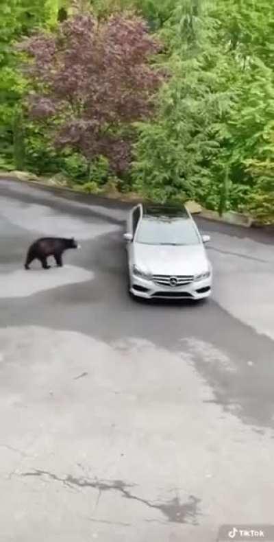 The idiot I wanted to see in the car and drive