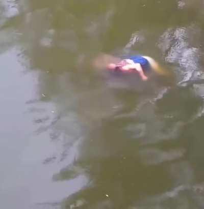 Crocodile gets fresh kill