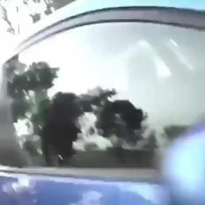 Car wants to learn gow to kick flip.