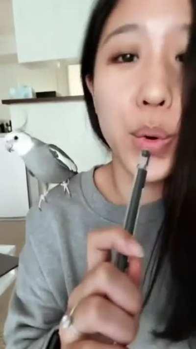Birb mimicking its owner