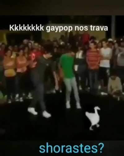 Vó trava teu zap raposito 😠😠🤡🤡