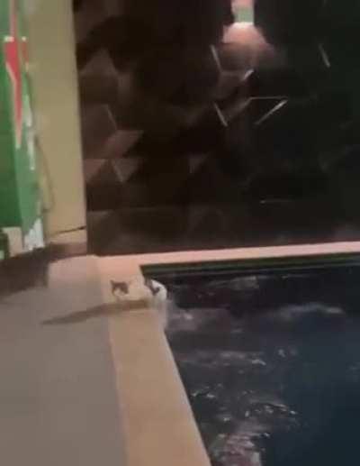 The risk I took was calculated, but man, I am bad at math