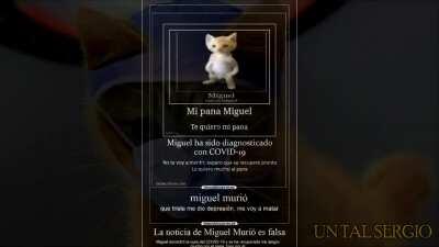 Miguel ft. Porta 😔🤘