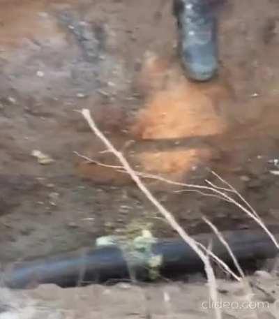 Don’t worry, you’ll never see what comes out