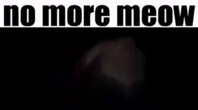 No more meow