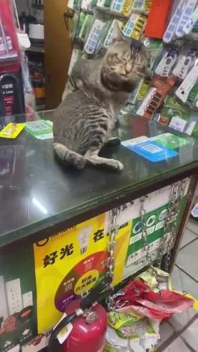 Запустился с ошибками