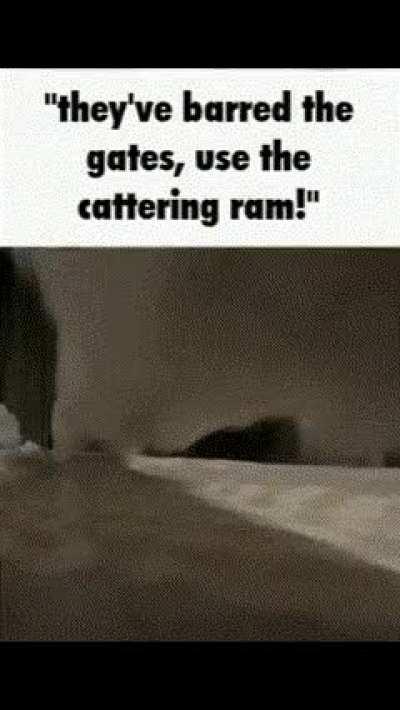 Forward men! Storm the keep!