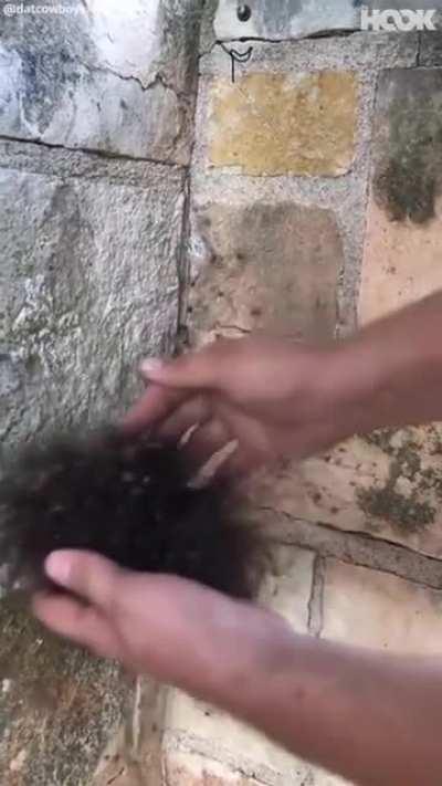 Несите напалм