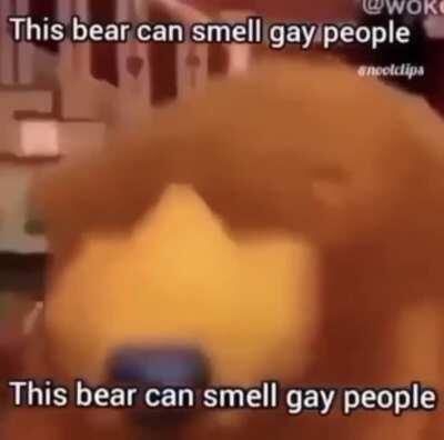 This sub is dogshit. Usually I can laugh at anti-lgbt content but goddamn this is repetitive as all hell and there is not a shred of humor in any post. Take some advice from a faggot and get some better material for the love of God. Ban me if you want, I 