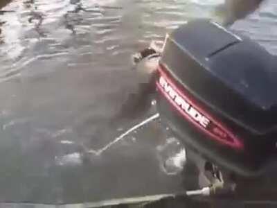 Oozora Subaru : Duck Rampage