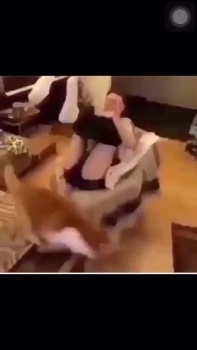 Bit more than he bargained for in that toot