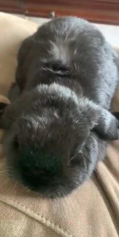 I did not say you could stop!