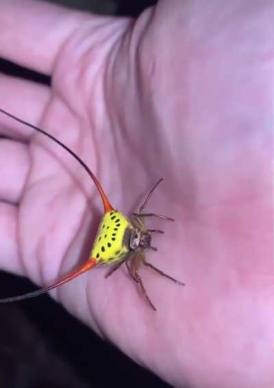 What on earth is this?