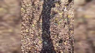 GoPro footage from VOSTOK Group 37th Guards Motorized Rifle Brigade Stormtroopers combat operations for the village of Rybne.