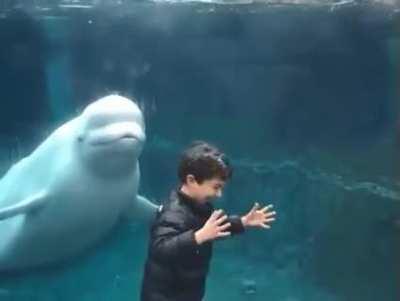 Excuse me sir but you look dehydrated