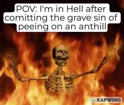 I think god is trying to send me a message....I saw this meme in my dream, with the exact font, gif, and music.