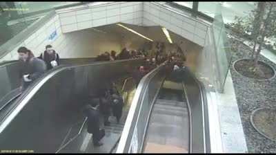 D or V? The guy who fell...