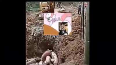 لحظة أثاث مضحكة Allah Good, Pork Bad Haram Rat Moment