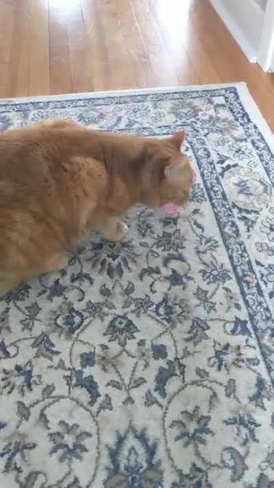 I caught the spring, mother. It'll never bother you again.