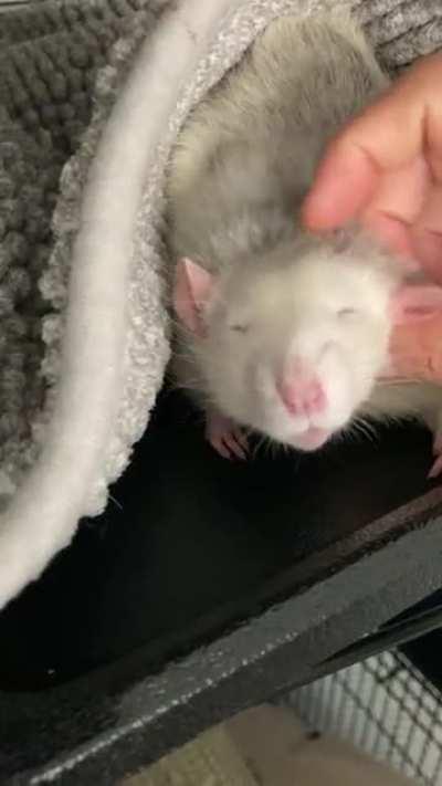 I love his “aww yiss” face 😍