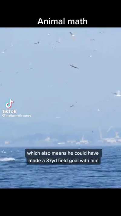 The Math seems spot on…