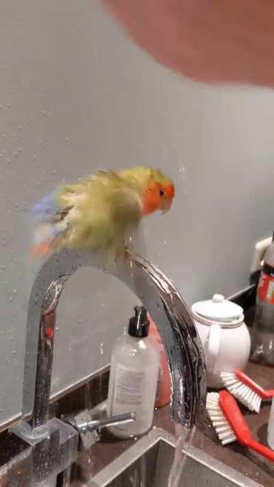 Compilation of our very energetic Wouter