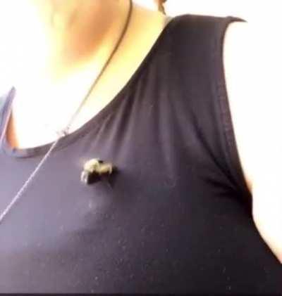 And kids that's how honey is actually made.