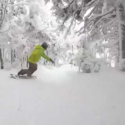 🔥 Slushing through a frozen forest's fresh snow (Sugar Mountain) 🔥