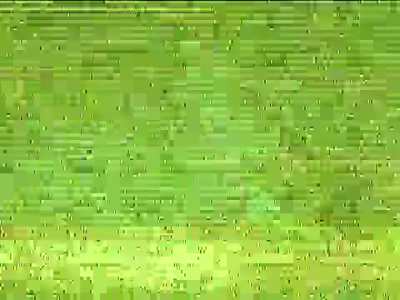 Untitled-AAC9f72vavcooadAAA052825_wmv