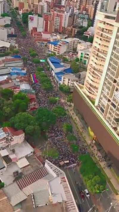 Today my city (Bucaramanga) had the most peaceful protest ever, thousands of people on the streets. Guess who didn't come? The police, of course. Coincidence?