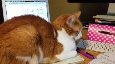 I...I need my notes...